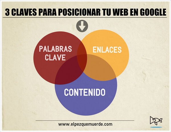 claves para posicionar tu web